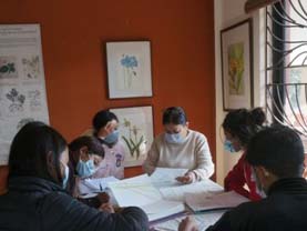 Scientific Botanical illustration course