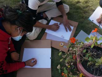 Scientific Botanical illustration course