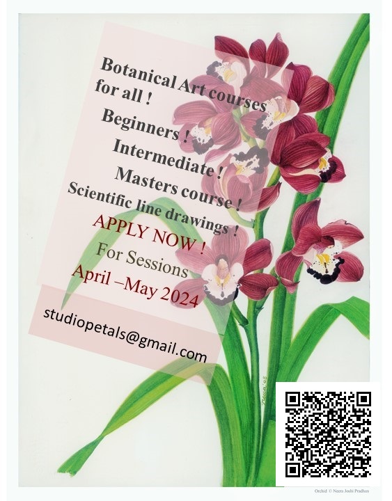 Botanical art classes