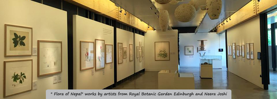"Flora of Nepal" works by artists from Royal Botanic Garden Edinburgh and Neera