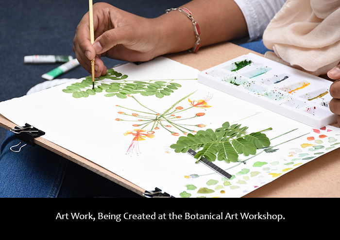 Day 2: Botanical Art Workshop