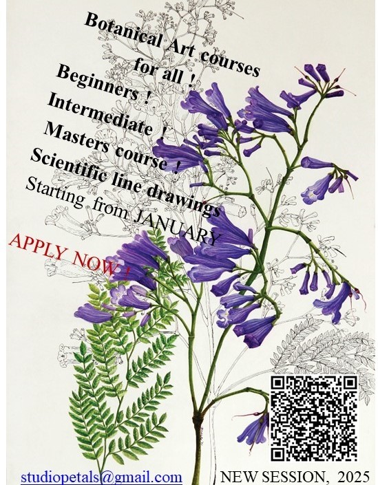 Botanical art class